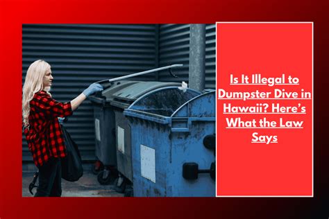 Is It Illegal to Dumpster Dive in Hawaii? Here's What the Law Says