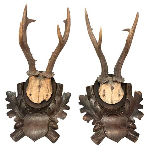 Deer Antler Mount Trophy on Black Forest Carved Wood Plaque Austria ...