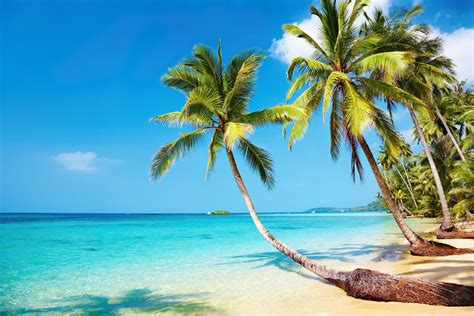 Image result for Beach Python Code
