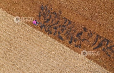 农家肥 的图像结果