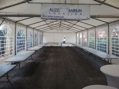 Frances Irena Barnum