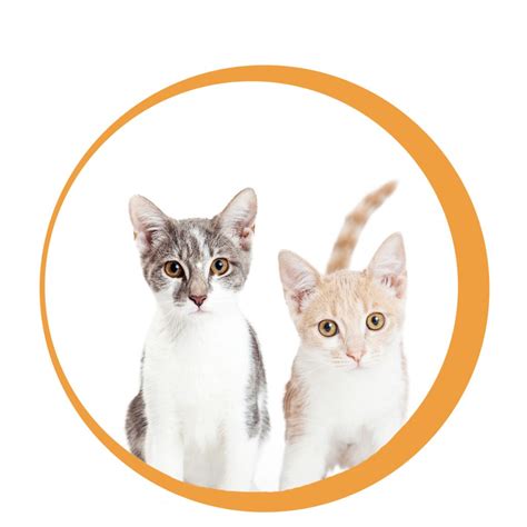 Adopt - Oshkosh Area Humane Society