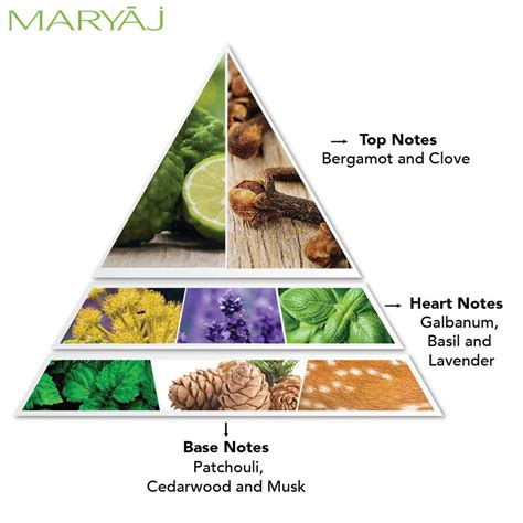 Buy MARYAJ WILD STRIPES FOR HIM EDP 100ML & WILD SPEED FOR HIM EDP 100 ...