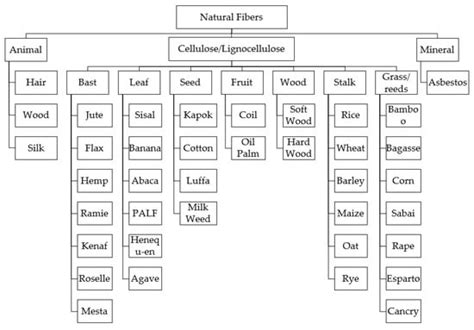 Recent Developments in Luffa Natural Fiber Composites: Review