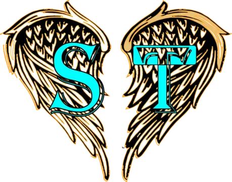 Image result for Shadow Projects Logo Evolution