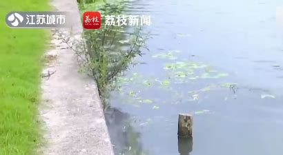 2小伙溺水6市民跳河救人，目击者：一个已经淹得看不见头了_手机新浪网