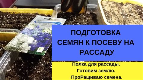 Подготовка семян к посеву на рассаду. Полка для рассады. Готовим землю ...