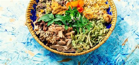 Plants for Medicine 的图像结果