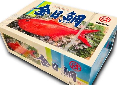 金目鯛 10kg 業務用 (1枚150～200g)【フィレーIQF・バラ凍結で便利】定食屋・旅館・磯料理屋などでお使いいただけます【冷凍便 ...