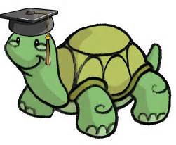 Image result for Turtle Academy Tutorials