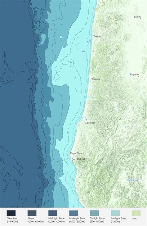 Oregon Coast | The Mysterious World of Bull Kelp