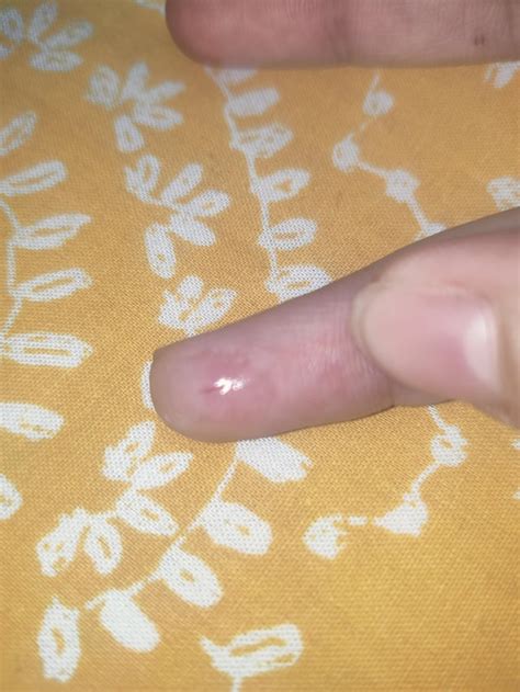 Image result for Scared Scratch Cat