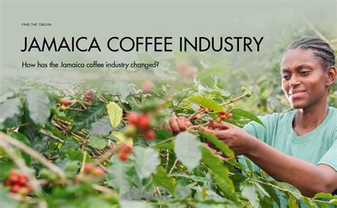 Industries In Jamaica
