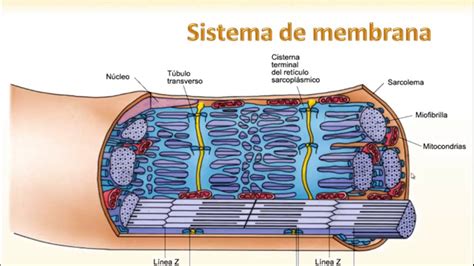 Image result for Informational Data Example