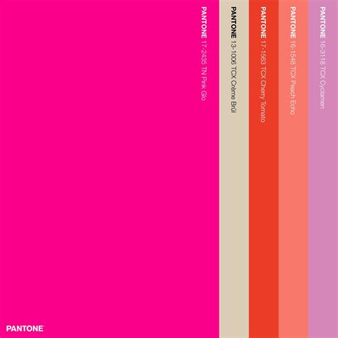 Neon Pink Color Palette was inspired by the composition of the objects ...