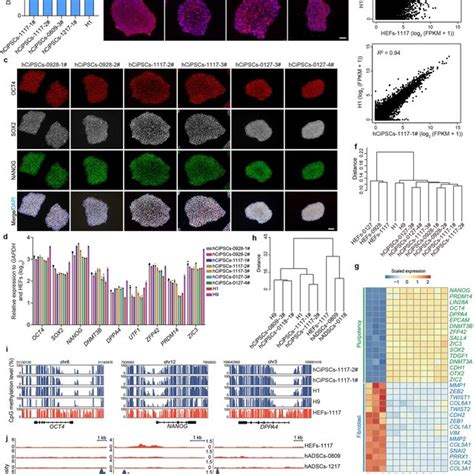 Image result for Chemical Reprogramming