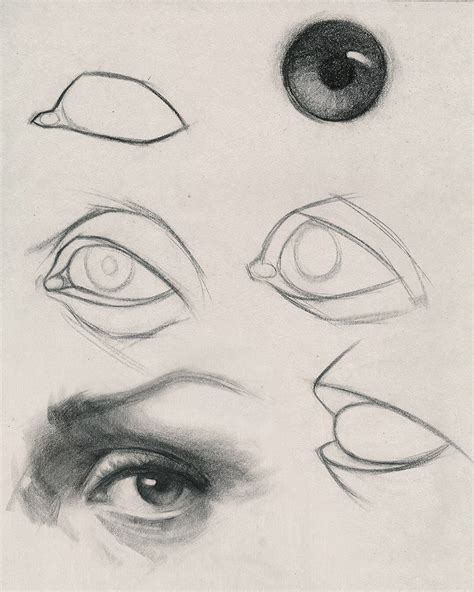 Image result for Drawing Human Eye Tutorial
