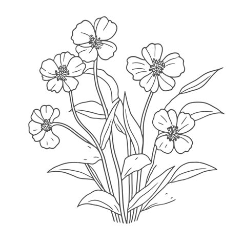 Flowers Coloring Pages Outline Sketch Drawing Vector, Flower Drawing ...