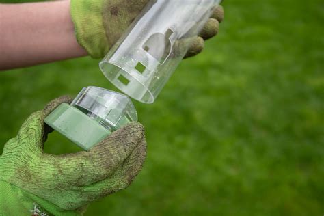 Expert advice on cleaning bird feeders