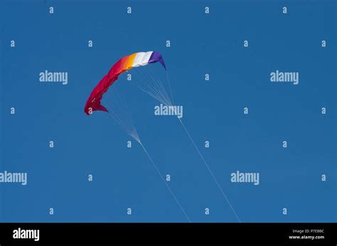 Kite 的图像结果