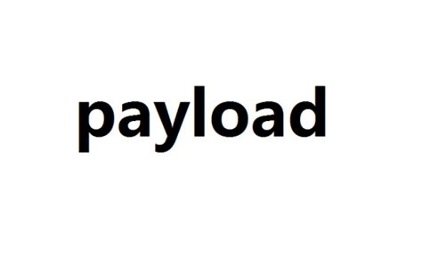 Image result for Payload VIP