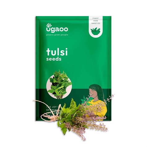 Buy Premium Herb Seeds Online in India- Grow Fresh Herbs at Home