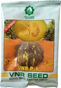 FRESHO VNR P-6 Seed Price in India - Buy FRESHO VNR P-6 Seed online at ...