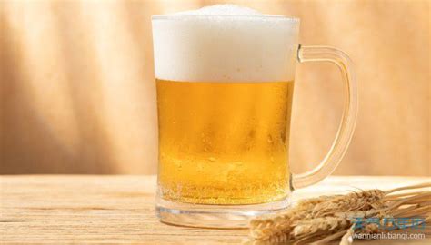 嘉士伯啤酒公司2017年销售额出现下滑-新华丝路