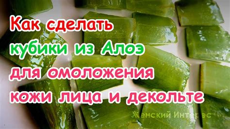 Как сделать кубики из Алоэ Вера для омоложения кожи лица, шеи и ...