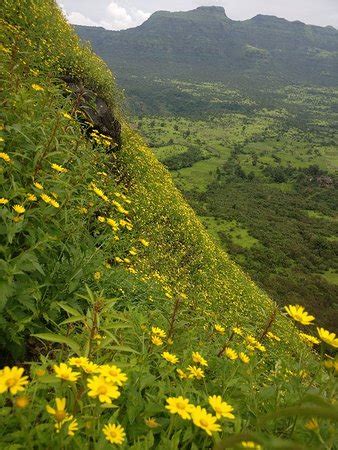 Ghangad Fort (Pune) - 2019 What to Know Before You Go (with Photos ...