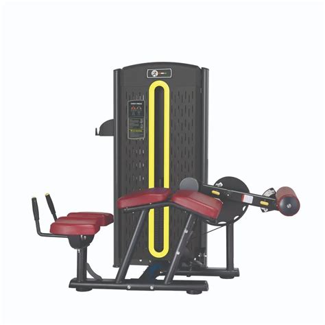 Weight Lifting Machine 的图像结果