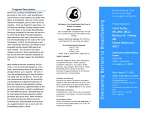 Fillable Online Overcoming Barriers to Breastfeeding Fax Email Print ...