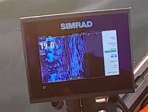 Image result for How to Read Side Scan Imaging