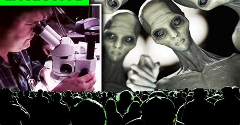 Image result for Alien Implants Just Schrapnel