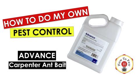 Advance Carpenter Ant Bait | How To Pest |Free Shipping