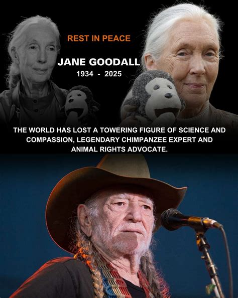 WILLIE NELSON MOURNS A LEGEND: When news broke that Jane Goodall had ...