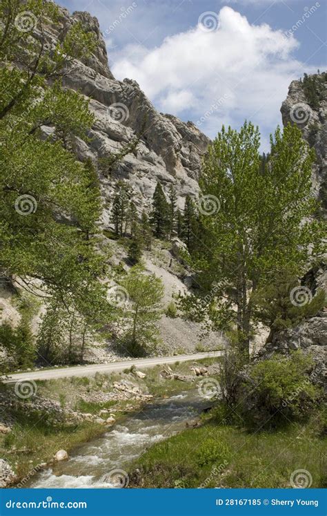 Trout Creek Mt Weather