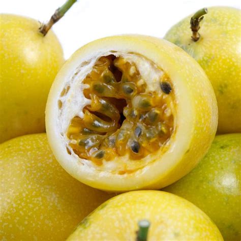 Passionfruit - Panama Gold Fruit Plant – M-Tech Gardens