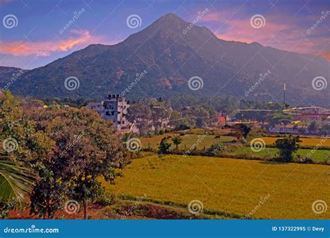 The Holy Mountain Arunachala, the Oldest Mountain in the World in Tamil ...