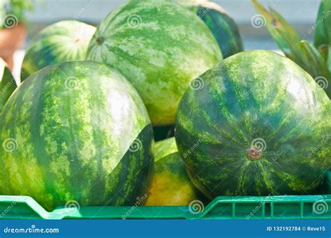 Freshly Picked, Ripe, Watermelons for Sale Stock Photo - Image of local ...