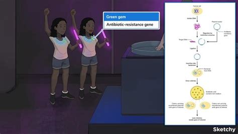 Molecular Biotechnology 的图像结果