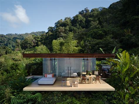 Jungle Dream Homes