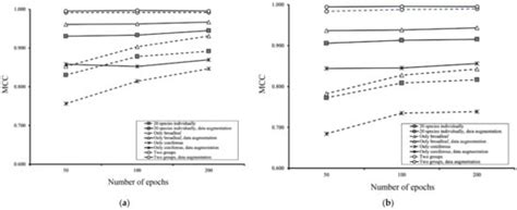 Verification of a Deep Learning-Based Tree Species Identification Model ...