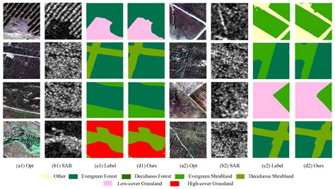 Vegetation Mapping in Heterogeneous Forest–Shrub–Grass Ecosystems Using ...