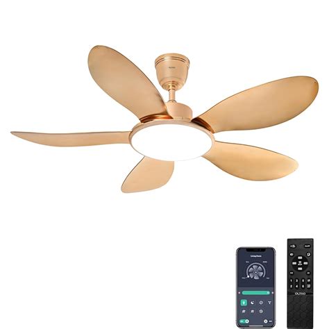 Buy oltao Sheeny 50" Span, Gold Plated Metal Body, Gold Plated ABS ...