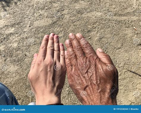 Difference Between Male Hand And Female Hand at Vaughn Gurule blog