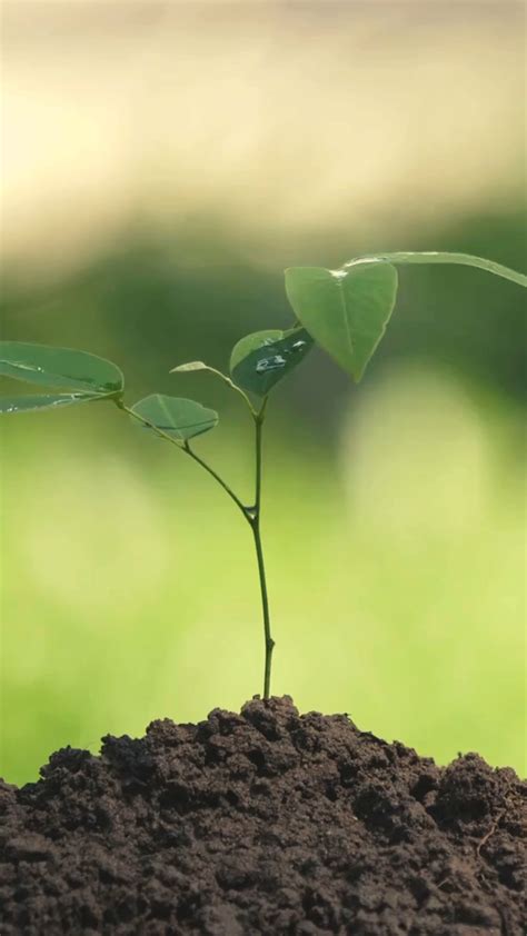 The Good Source (@thegoodsource_ph) • Instagram photos and videos