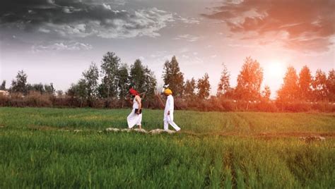 Adaptive Agriculture: Building Climate-Resilient Indian Farmers