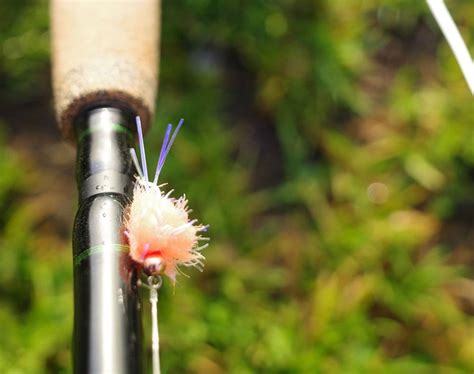 Fly Fish 的图像结果