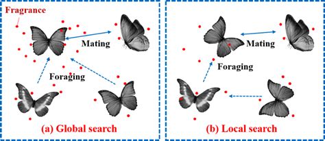 Image result for Butterfly Optimization Algorithm Tutorial